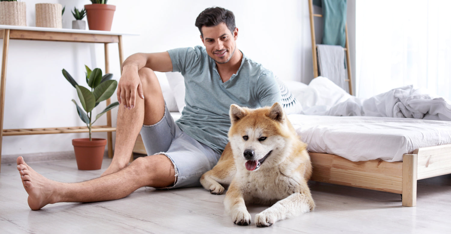 Man_dog_in_bedroom_-_2_x_1.1